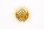 NeuroQuest symbol